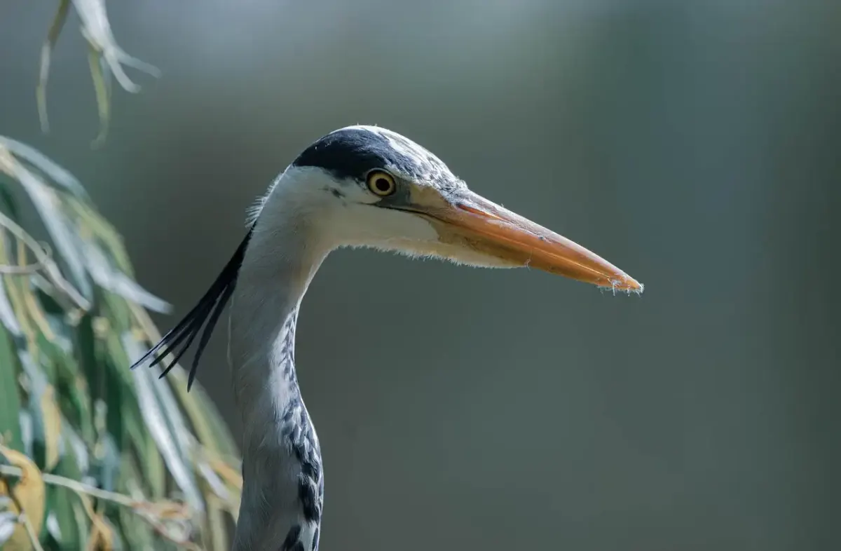 Heron von alexandria erfindungen