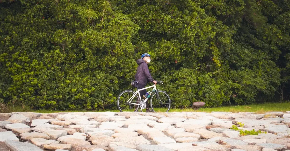 Erfindungen fahrrad