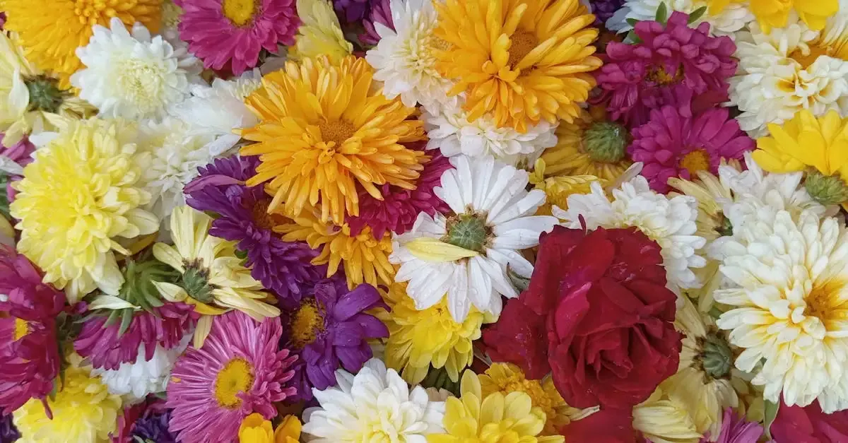 Erfindungen für den garten