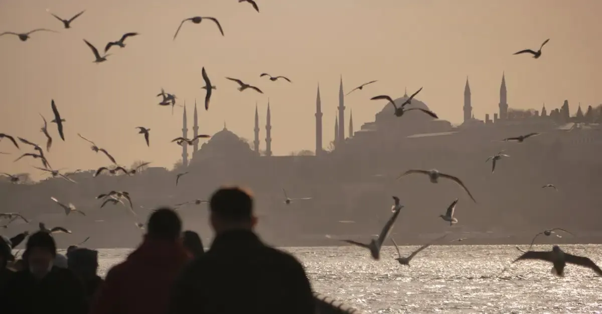 8 bahnbrechende Erfindungen der muslimischen Welt