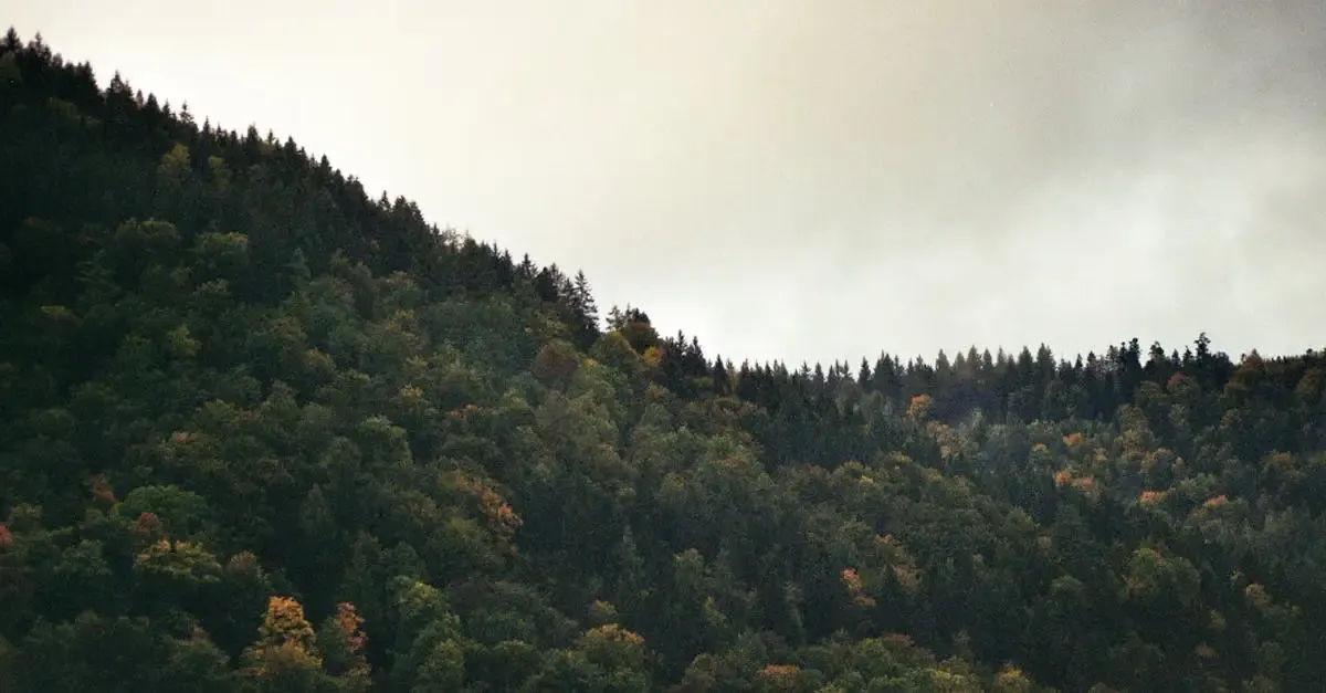 Liste deutsche erfindungen
