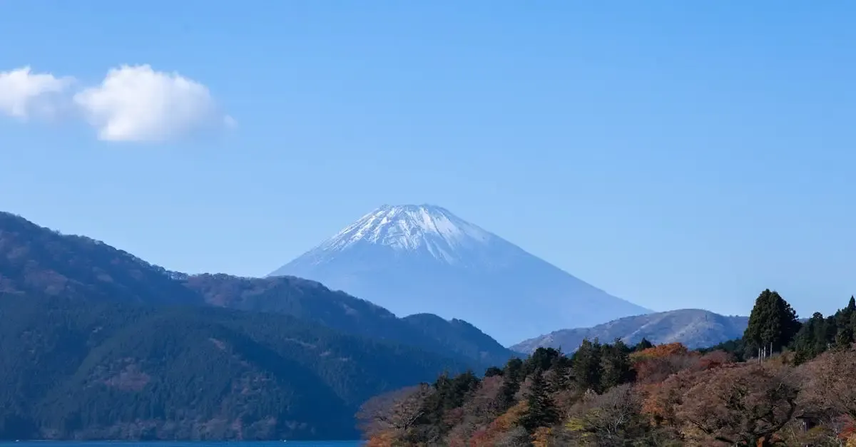 Nutzlose erfindungen japan