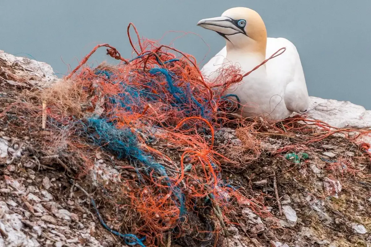 Erfindungen gegen plastik im meer